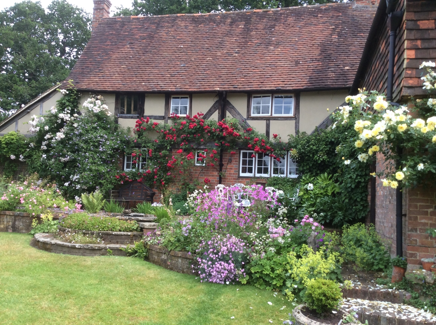 Open Garden Hardy Plant Society North Hall, Fletching
